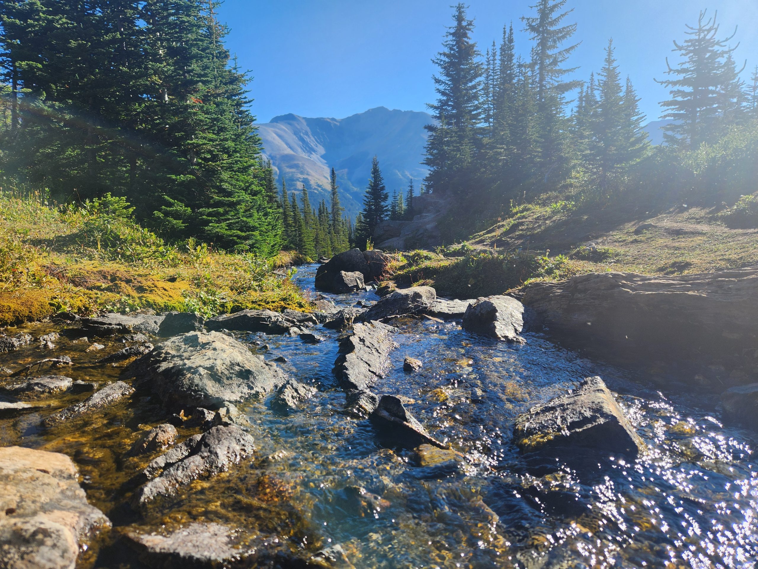 Day 4: Horse Back Riding